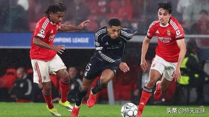 博阿维斯对战本菲卡预测最新